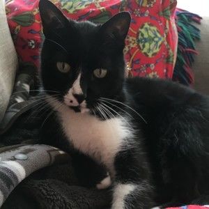 Meet your Posher, Patty